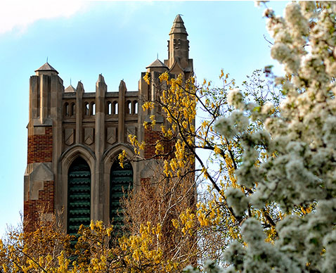 Read more about the article Philosophy Department Earns High Marks for Addressing Issues of Underrepresented Groups