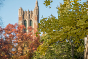 Beaumont Tower in background of nature shot